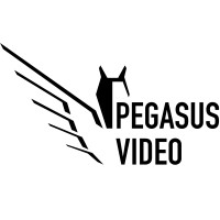 Pegasus Video logo - Similar company to Oorlogsmuseum Overloon