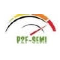 Pico2Femto Semiconductor services logo - Similar company to Ocwis