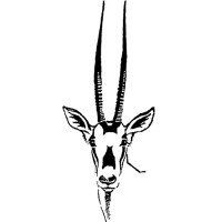 Oryx International Growth Fund Limited logo - Similar company to North Atlantic Smaller Companies Investment Trust Plc (Nascit)