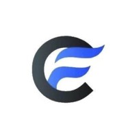 Codicify Infotech logo - Similar company to Insightlancer