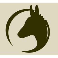 Donkey Bruges - Your Workplace In Town (Ywit)