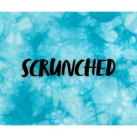 Scrunchedstore logo - Similar company to Domitek, Inc.