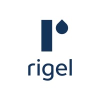 RIGEL logo - Similar company to Private Sector