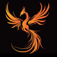 Team Phoenix IIT Patna logo - Similar company to Aayusetu