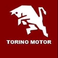Torino Motor - Fiat, Abarth, Jeep, Alfa Romeo y Fiat Professional en Málaga logo - Similar company to Tahermo, S.L.