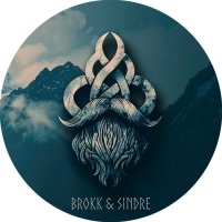 Brokk og Sindre ApS logo - Similar company to Helheim Aps