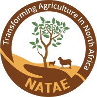 NATAE logo - Similar company to Observatoire Du Sahara Et Du Sahel (Oss) Sahara And Sahel Observatory
