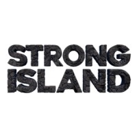 Strong Island logo - Similar company to Visual Data Tools, Inc.