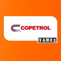 Gestión de Servicios S.A. - Copetrol logo - Similar company to Enex