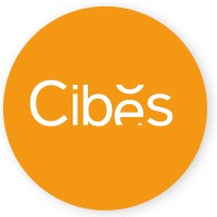 Cibes Lift Thailand logo - Similar company to Cibes Lift Group