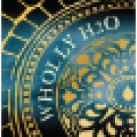 Wholly H2o logo - Similar company to Kapala It Llc