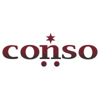Conso Management Services Pvt. Ltd logo - Similar company to Pnr Software Solutions Pvt. Ltd