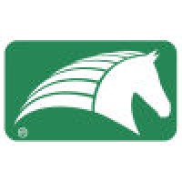 White Horse Consulting, Inc.