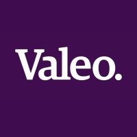 Valeo Advisory logo - Similar company to Layer 8 Security