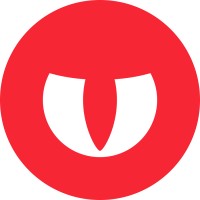 DragonChasers logo - Similar company to Outsized Ventures