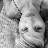 Stacey Kille Deco logo - Similar company to Cannisimmo