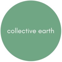 Collective Earth logo - Similar company to Erc Consulting