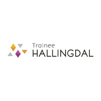 Trainee Hallingdal logo - Similar company to Brucy