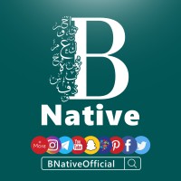 B Native logo - Similar company to Hudson Software, Inc.