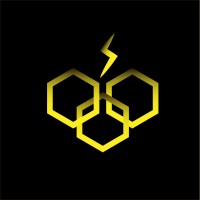 SNS>SP&SaiboT logo - Similar company to Babz Llc
