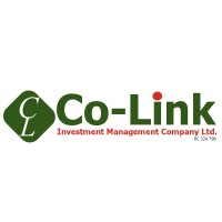 Co-Link Investment Management Ltd. logo - Similar company to Singforus