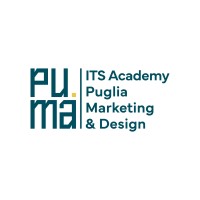 ITS ACADEMY PUMA logo - Similar company to Com&Tec
