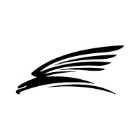 Eagle Software Solutions logo - Similar company to Provido Solutions