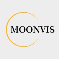 Moonvis logo - Similar company to Despace 镝空间