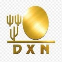 DXN INTERNACIONAL logo - Similar company to Gagofer