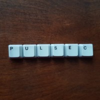 Pulsec logo - Similar company to Pulsoc Angola