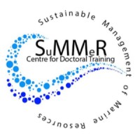 CDT SuMMeR logo - Similar company to Tutorbar