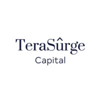 TeraSurge Capital logo - Similar company to Velar