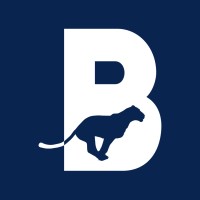 BOLD Agency logo - Similar company to Roaring Concepts