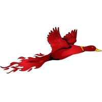 Fireduck Limited logo - Similar company to Doublechecked Cybersecurity