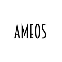 Ameos logo - Similar company to Morapp