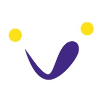 FVC Consulting logo - Similar company to Famesu Corporation