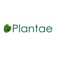 Plantae logo - Similar company to Plantae