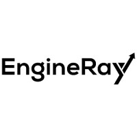 EngineRay logo - Similar company to Queryloopai