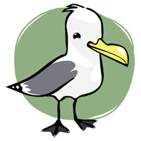Rissa Citizen Science