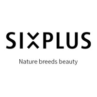 SIXPLUS NEW YORK INC logo - Similar company to Swenex Llc
