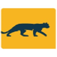 Cougar Mountain Financial