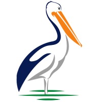 Pelican Manufacturing Pty Ltd logo - Similar company to Future Engineering Pty Ltd