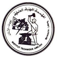 Amilieh Technical Institute logo - Similar company to Macc Systems