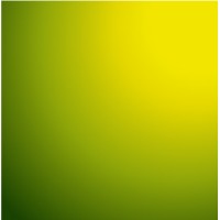 Aceline Info Solutions Private Limited logo - Similar company to F1Tco Ptp
