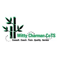 Witty Charman CoTS Sdn Bhd logo - Similar company to Alrize Global Tech