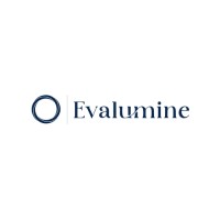 Evalumine logo - Similar company to Leyesx