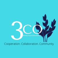 3co Software Consulting