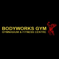 Bodyworks Gym logo - Similar company to Connects You