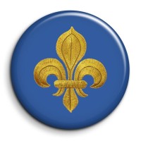 Ami Splendid logo - Similar company to Mansys
