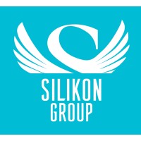 Silikon Group logo - Similar company to Duo Advisory